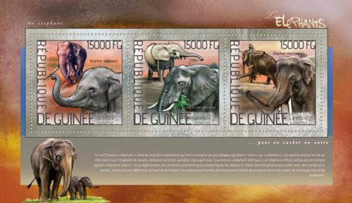 Poštové známky Guinea 2014 Slony Mi# 10383-85 Kat 18€