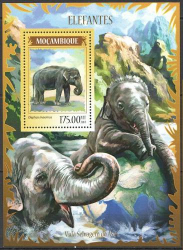 Poštová známka Mozambik 2014 Slony Mi# Block 906 Kat 10€