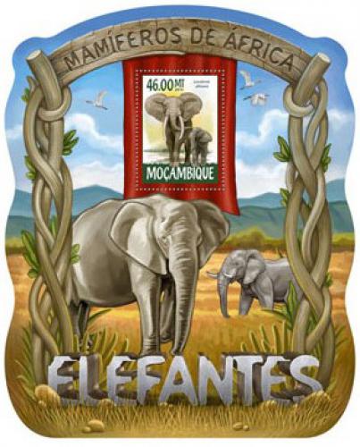 Poštová známka Mozambik 2015 Slony Mi# 7970 Block