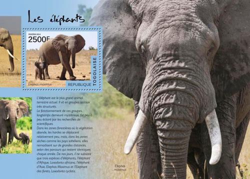 Poštová známka Togo 2014 Slony Mi# Block 1048 Kat 10€