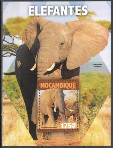 Poštová známka Mozambik 2016 Slony Mi# Block 1110 Kat 10€