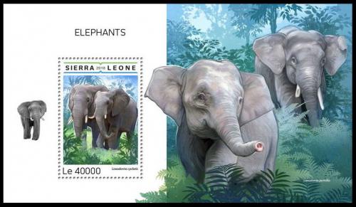 Poštová známka Sierra Leone 2018 Slony Mi# Block 1501 Kat 11€