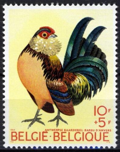 Poštová známka Belgicko 1969 Kohout Mi# 1572