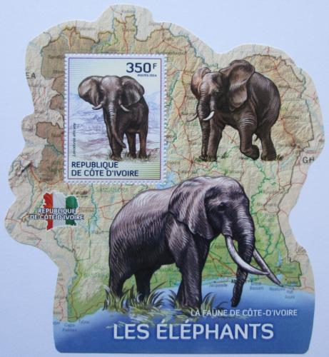Poštová známka Pobrežie Slonoviny 2014 Slony Mi# 1610 Block