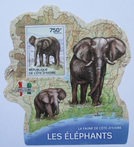 Poštová známka Pobrežie Slonoviny 2014 Slony Mi# 1612 Block 