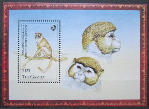 Poštová známka Gambia 1993 Koèkodan Allenùv Mi# Block 186 Kat 11€