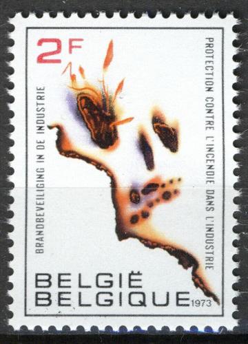 Poštová známka Belgicko 1973 Protipožární ochrana Mi# 1713