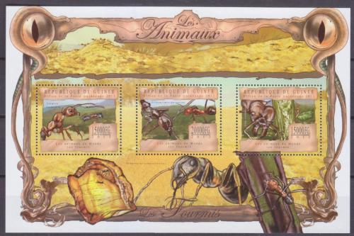 Poštové známky Guinea 2013 Mravenci Mi# 9789-91 Kat 20€