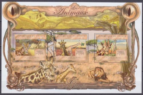 Poštové známky Guinea 2013 Žirafy Mi# 9829-31 Kat 20€