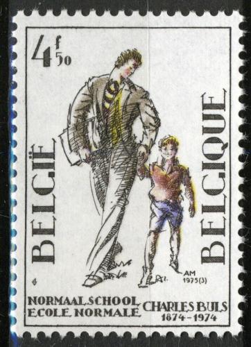 Poštová známka Belgicko 1975 Škola Charles-Buls, 100. výroèie Mi# 1807