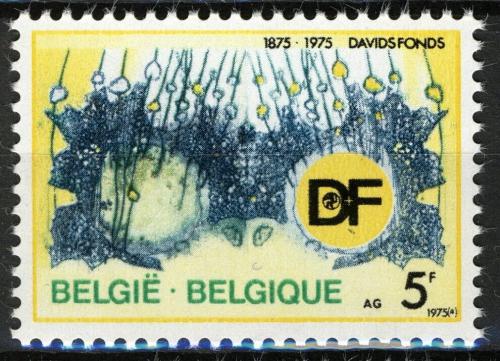 Poštová známka Belgicko 1975 Davidùv fond, 100. výroèie Mi# 1809