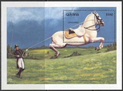 Poštová známka Guyana 1992 Drezura kone Mi# Block 200 Kat 9.50€