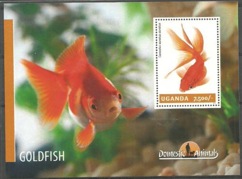 Poštová známka Uganda 2014 Ryby Mi# Block 463 Kat 9€