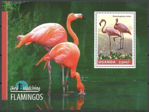 Poštová známka Uganda 2014 Plameòáci Mi# Block 455 Kat 9€