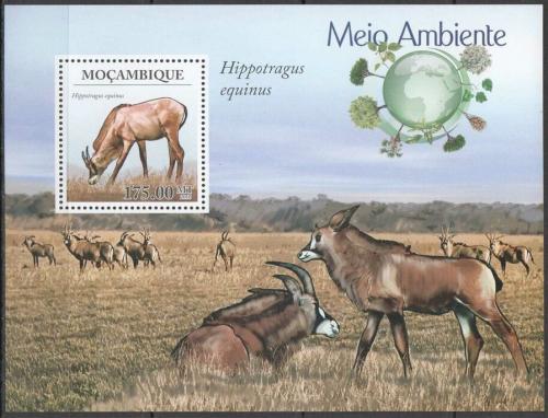 Poštová známka Mozambik 2010 Antilopa koòská, WWF Mi# Block 316 Kat 10€