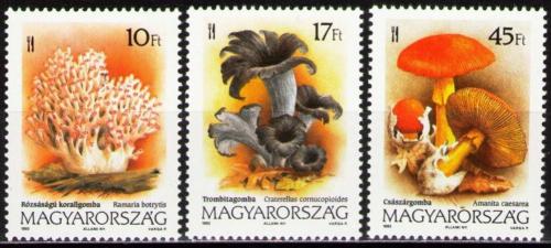Poštové známky Maïarsko 1993 Huby Mi# 4247-49