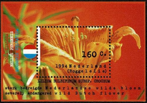 Potov znmka Holandsko 1994 Kvety Mi# Block 40 - zvi obrzok