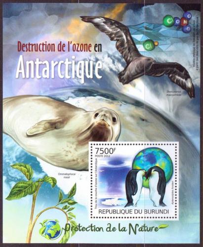 Poštová známka Burundi 2012 Polární fauna Mi# Block 244 Kat 9€