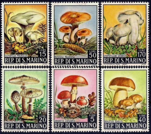 Poštové známky San Marino 1967 Huby Mi# 891-96