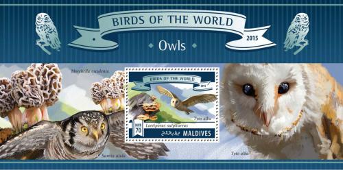 Poštová známka Maldivy 2015 Sovy Mi# Block 827 Kat 9€