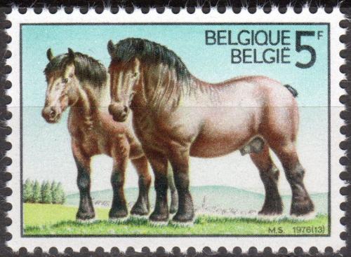 Potov znmka Belgicko 1976 Kone Mi# 1862 - zvi obrzok