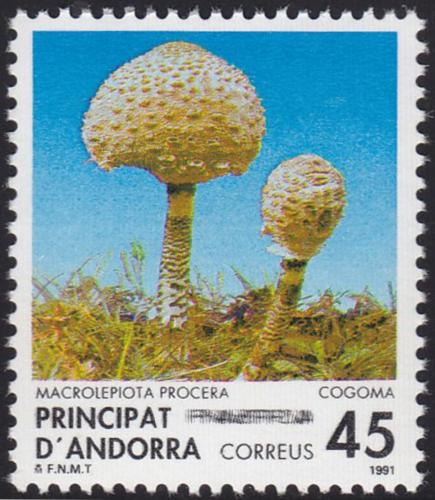Poštová známka Andorra Šp. 1991 Bedla vysoká Mi# 223