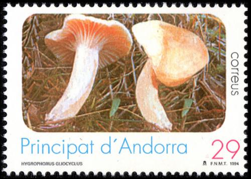 Poštová známka Andorra Šp. 1994 Š�avnatka slizoprstenná Mi# 239