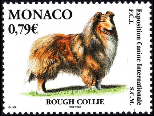 Poštová známka Monako 2003 Kolie dlouhosrstá Mi# 2642