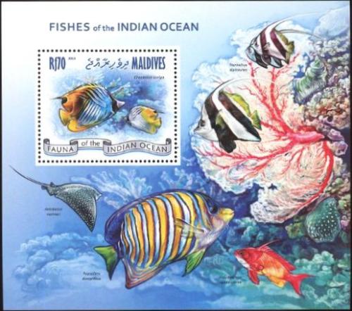 Poštová známka Maldivy 2013 Ryby korálových útesù Mi# Block 639 Kat 9€