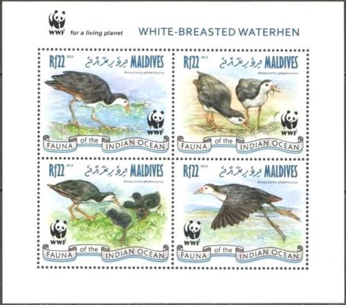 Poštové známky Maldivy 2013 Chøástal bìloprsý, WWF Mi# 4878-81 Kat 11€ 