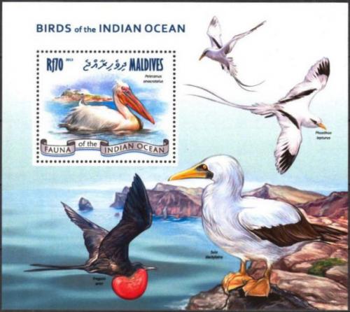 Poštová známka Maldivy 2013 Moøští ptáci Mi# Block 642 Kat 9€
