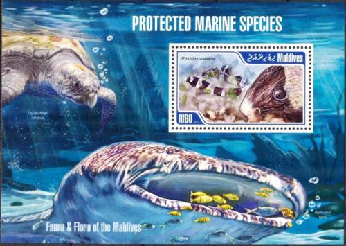 Poštová známka Maldivy 2013 Morská fauna Mi# Block 646