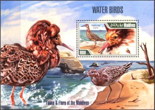 Poštová známka Maldivy 2013 Vodní ptáci Mi# Block 650