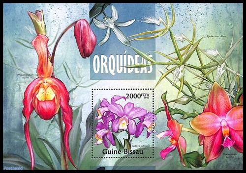 Poštová známka Guinea-Bissau 2013 Orchideje Mi# Block 1169 Kat 8€
