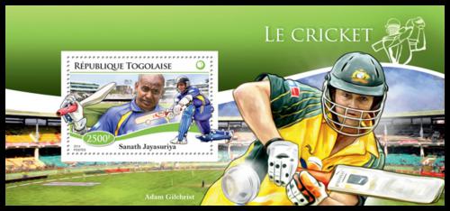 Poštová známka Togo 2014 Kriket Mi# Block 1113 Kat 10€