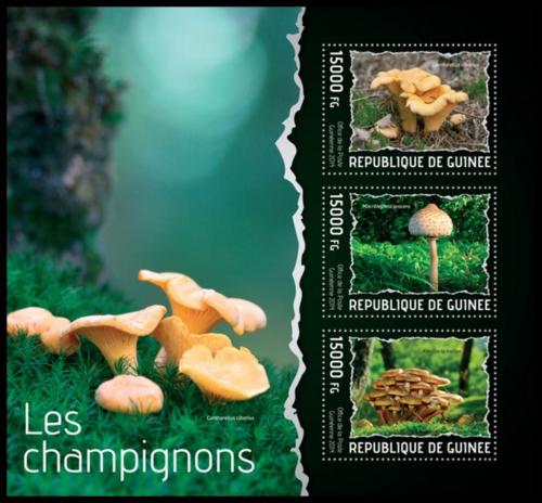 Poštové známky Guinea 2014 Huby Mi# 10251-53 Kat 18€