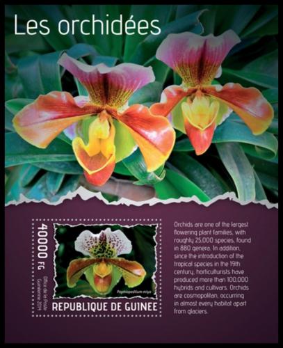 Poštová známka Guinea 2014 Orchideje Mi# Block 2339 Kat 16€