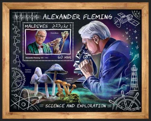 Poštová známka Maldivy 2017 Alexander Fleming Mi# Block 1076 Kat 7.50€