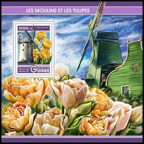 Poštová známka Guinea 2017 Vìtrné mlýny a tulipány Mi# Block 2759 Kat 20€