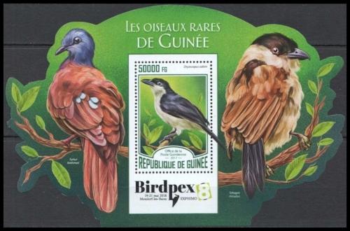 Poštová známka Guinea 2017 Vzácní ptáci Mi# Block 2799 Kat 20€