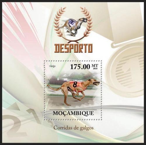 Poštová známka Mozambik 2010 Závody chrtù Mi# Block 334 Kat 10€