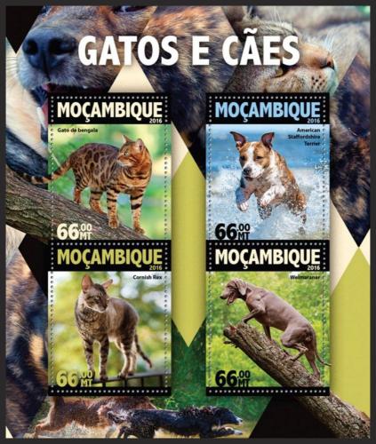 Poštové známky Mozambik 2016 Maèky a psi Mi# 8324-27 Kat 15€