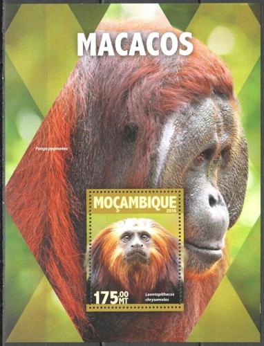 Poštová známka Mozambik 2016 Opice Mi# Block 1109 Kat 10€