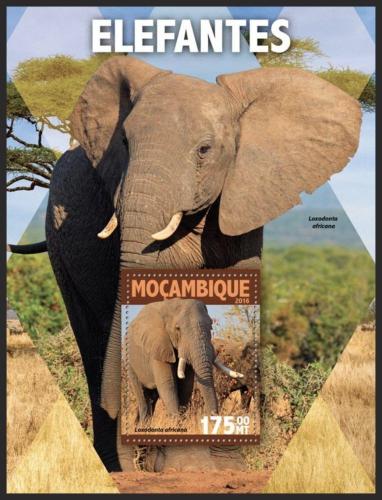 Poštová známka Mozambik 2016 Slony Mi# Block 1110 Kat 10€