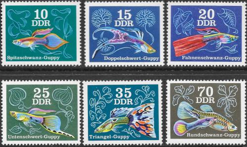 Poštové známky DDR 1976 Ryby Mi# 2176-81