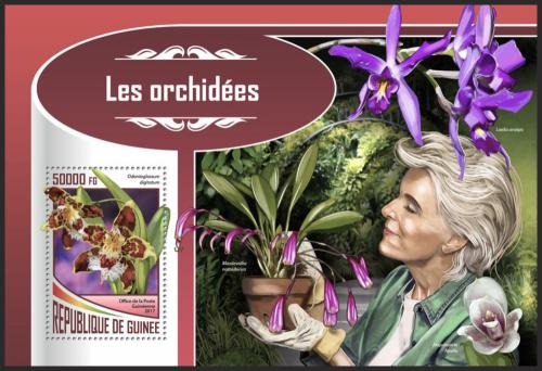 Poštová známka Guinea 2017 Orchideje Mi# Block 2827 Kat 20€