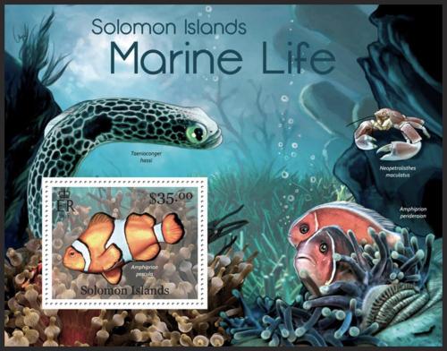 Poštová známka Šalamúnove ostrovy 2013 Morská fauna Mi# Block 122 Kat 12€