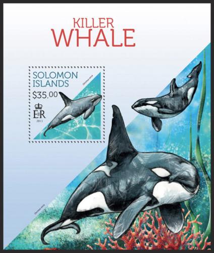 Poštová známka Šalamúnove ostrovy 2013 Kosatky Mi# Block 216 Kat 12€