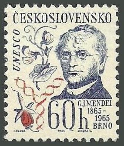 Potov znmka eskoslovensko 1965 Gregor Mendel, prodovdec Mi# 1557