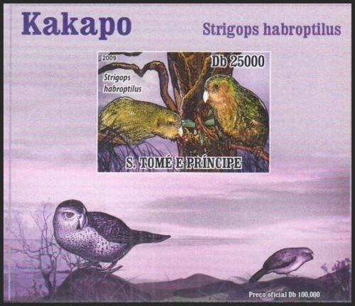 Potovn znmka Svat Tom 2009 Kakapo sov DELUXE neperf. Mi# 3887 B Block